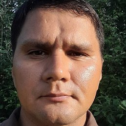 ������, ��������, 36 ���