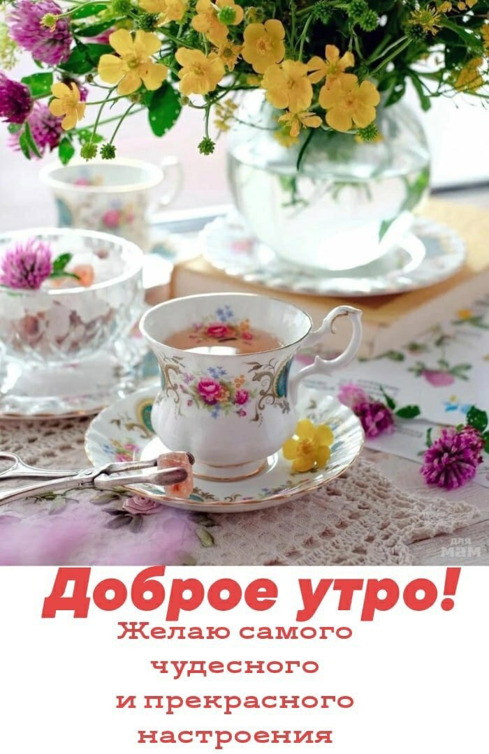��������� - 24 ���� 2022 � 07:37