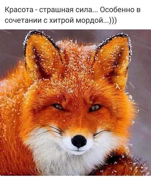  - 1  2022  11:18 - 5