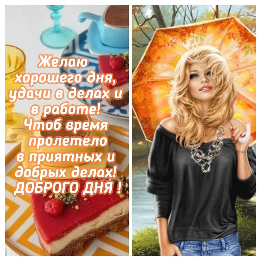   ,    . - 8  2022  17:39 - 4