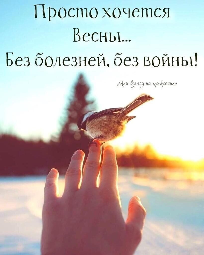  - 29  2022  11:54