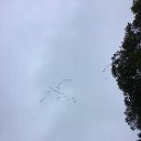 ���� �������� ���� ���� �� ������� �������� ����� 2022�