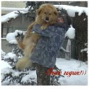 ���� ����, �����-��������� - ��������� 14 ������ 2023 � ������ ������ ��������