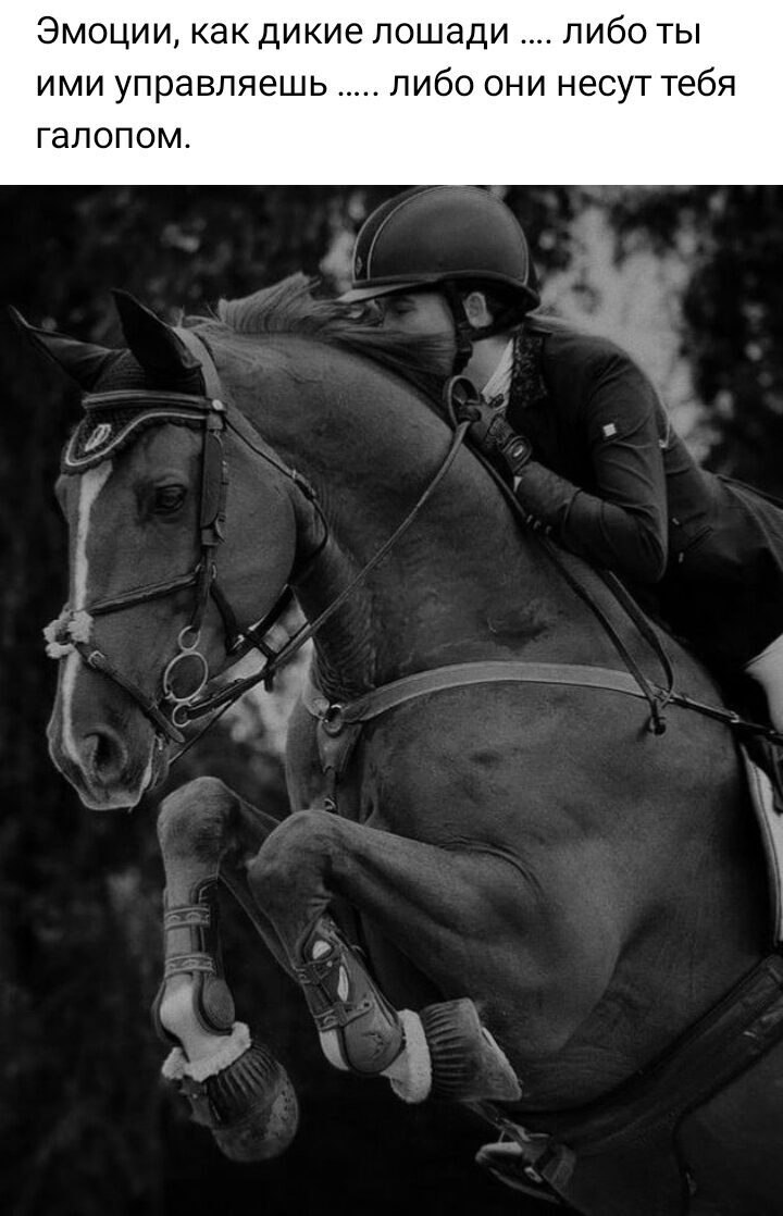 ***Victoria Viktorovna*** - 28  2022  05:58