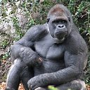 ���� ����, ������, 55 ��� - ��������� 20 ������ 2023