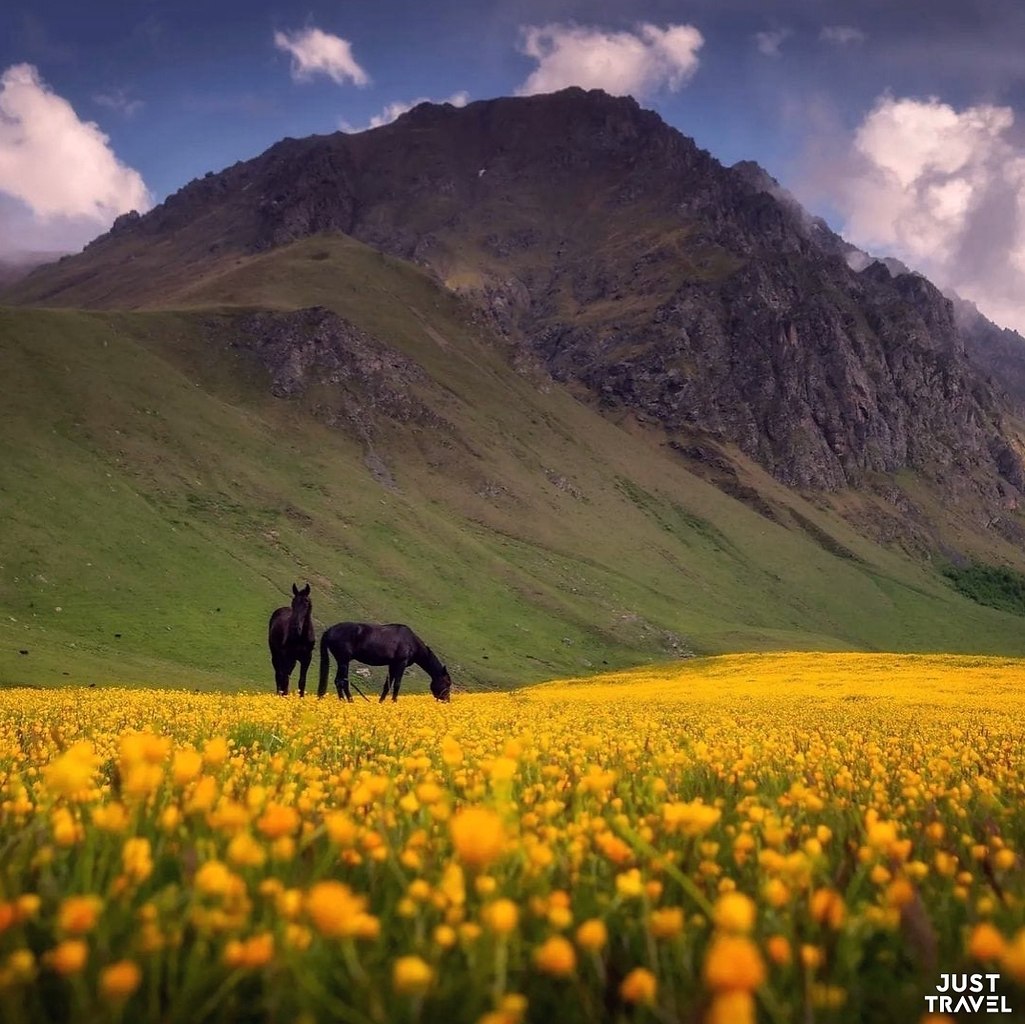 aa.#art #travel #world