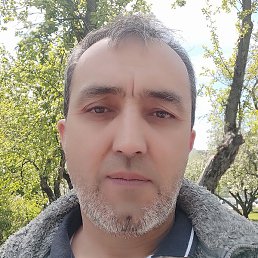 �����, ������, 55 ���