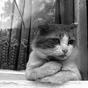 ���� ����, ������, 65 ��� - ��������� 5 ������� 2022 � ������ ���� ����������