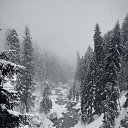 ���� ��������, ������-��-����, 61 ��� - ��������� 2 ����� 2022 � ������ ���� ����������