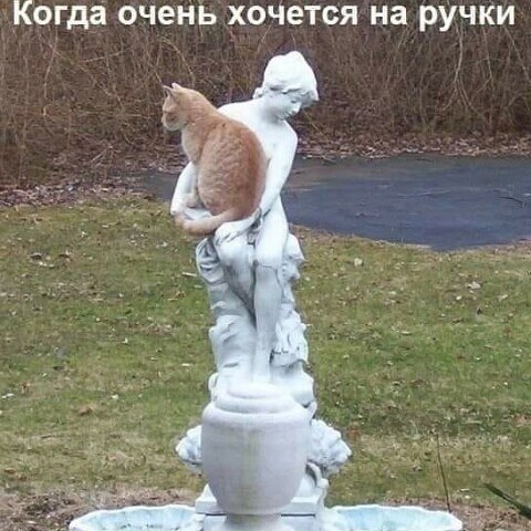    ,  .          . - 2