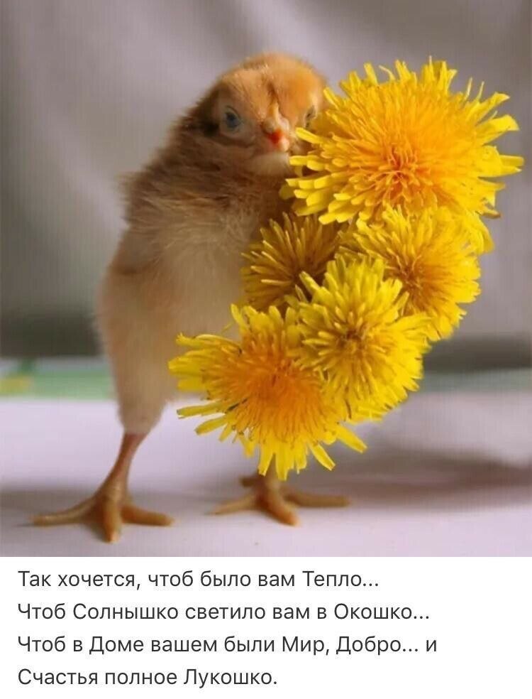   - 21  2022  09:37