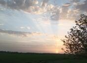 ���� ������, ���������, 55 ��� - ��������� 25 ������ 2022