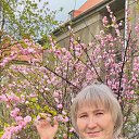 ���� �����, �����������, 64 ���� - ��������� 1 ��� 2022 � ������ ���� ����������