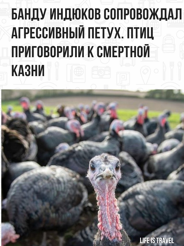      . - 3
