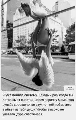 ***Victoria Viktorovna*** - 7  2022  17:49
