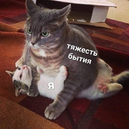 ��� �������� �������� - 20 ������ 2022 � 09:36