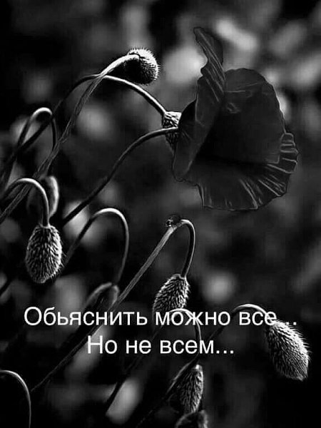 ***Victoria Viktorovna*** - 4  2022  15:02