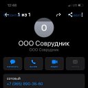 ���� ������, �������, 41 ��� - ��������� 11 ������� 2023