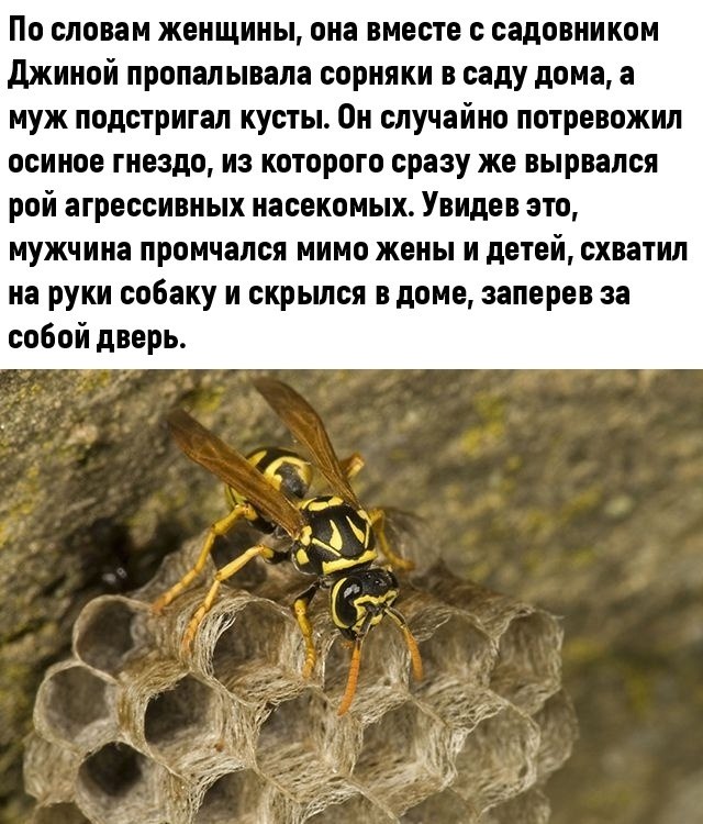  ,  ! - 2