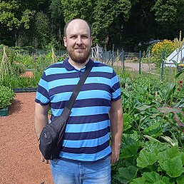 ����, ��������, 40 ���