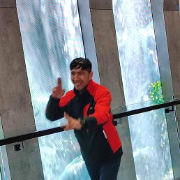 ������, ������, 40 ���