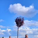 ���� ��������, ��������, 48 ��� - ��������� 26 ������� 2022