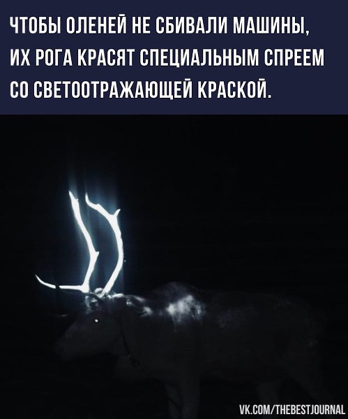    - 2