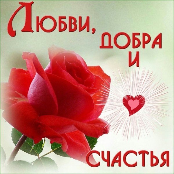 :).*"Никто"*(Яков Кедми)Никто не штопает носки. И уж если совсем поглубже в историю - ...