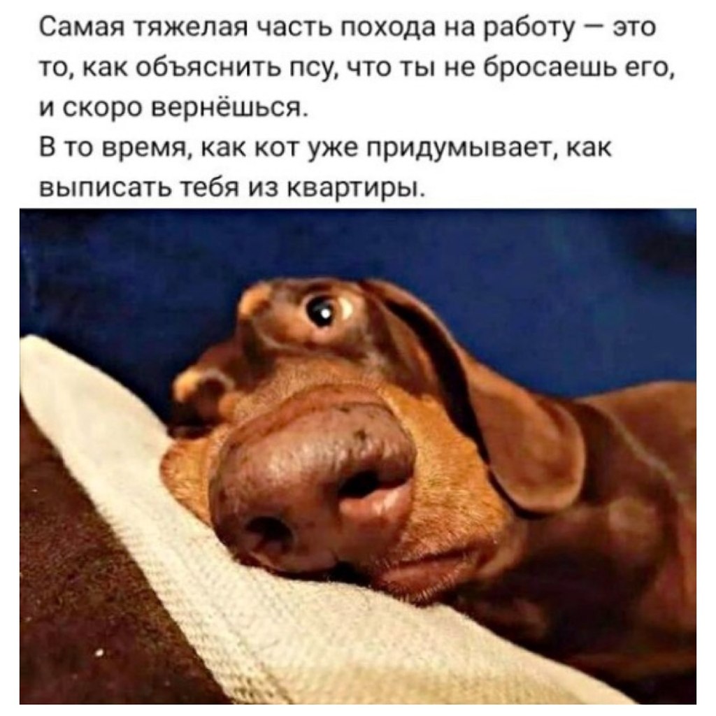   - 27  2022  20:42