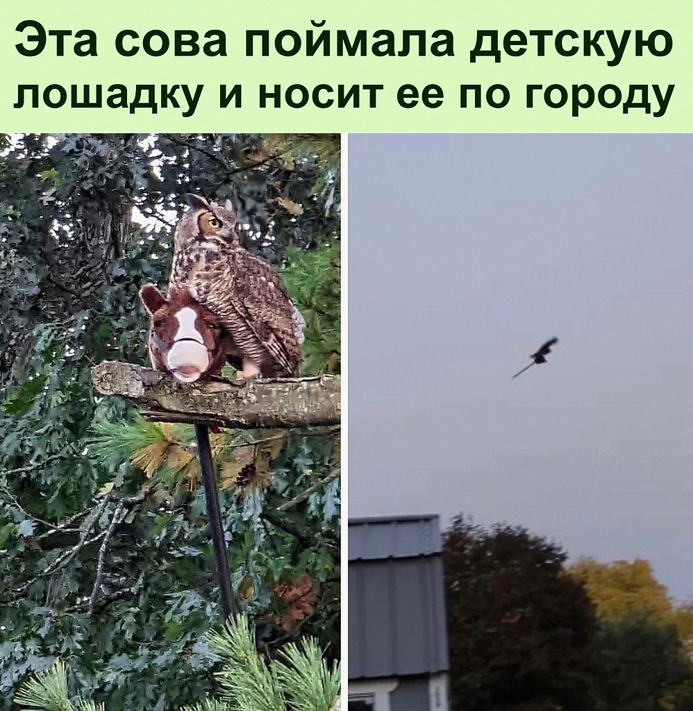   :D - 21  2022  11:31