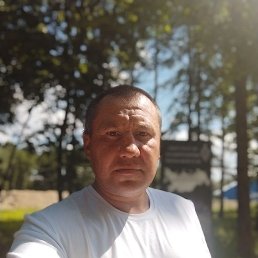 �������, ���, 41 ���