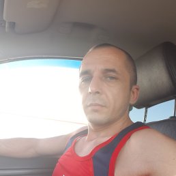  , , 41  -  13  2022