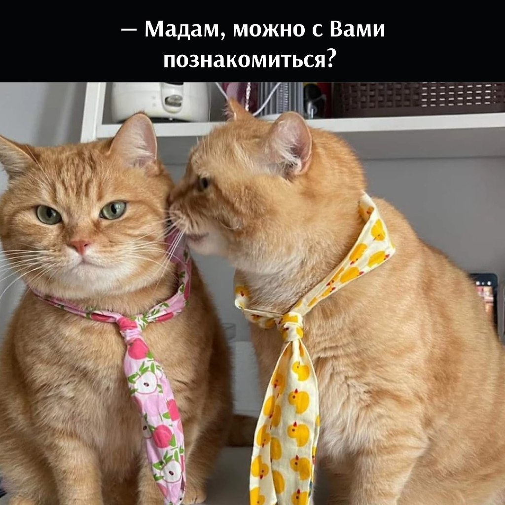       - 28  2022  16:03