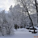  Nikolai, , 79  -  5  2022    