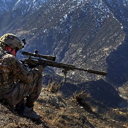 ���������, ����, 42 ����