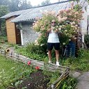 ���� ����, �����, 55 ��� - ��������� 12 ������ 2022 � ������ ���� ����������