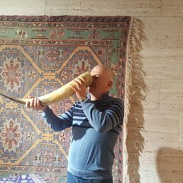 �����, �������, 52 ����