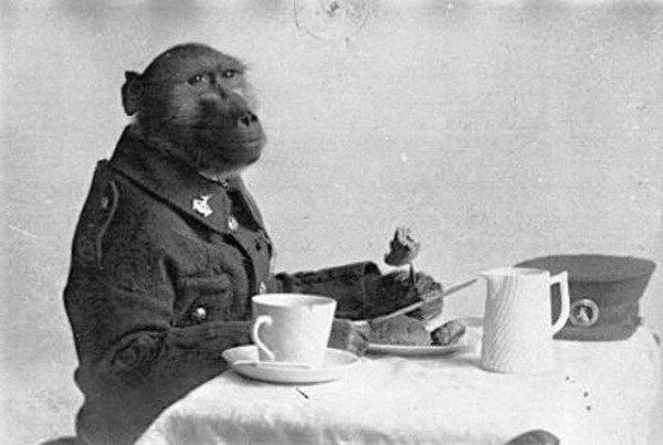 Капрал Джеки, "Боевая обезьянка" ***** В августе 1915 года на призывной пункт 1-й ...