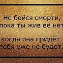 ���� ������, ��������, 67 ��� - ��������� 6 ������� 2023