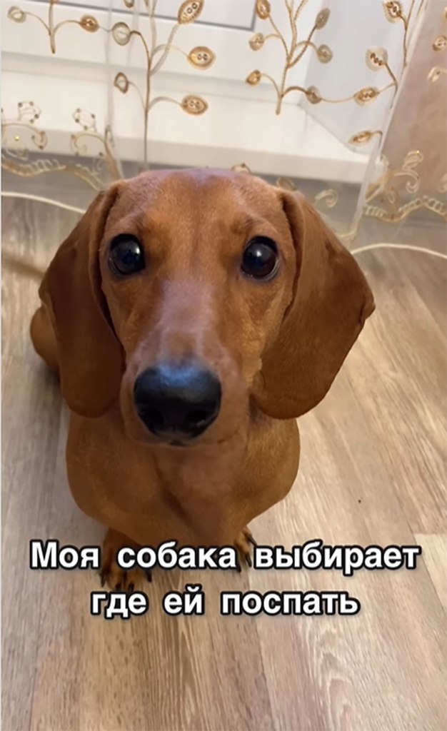    ,   !