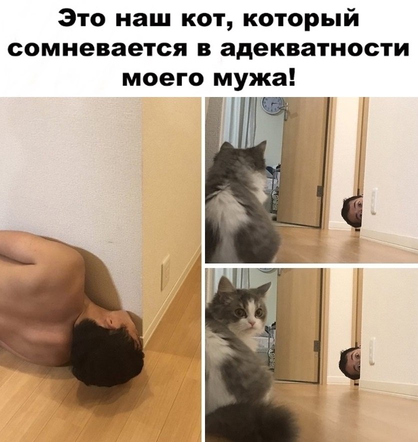   -  ,  -  - 23  2022  07:20