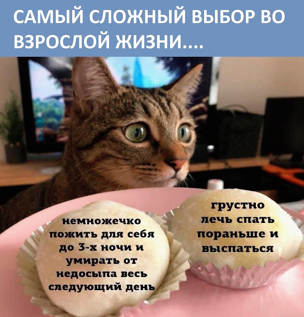  -  ,   -    ). .