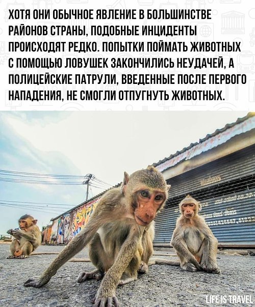 Хочется сказать спасибо, что у нас в стране таких проблем нет - 3
