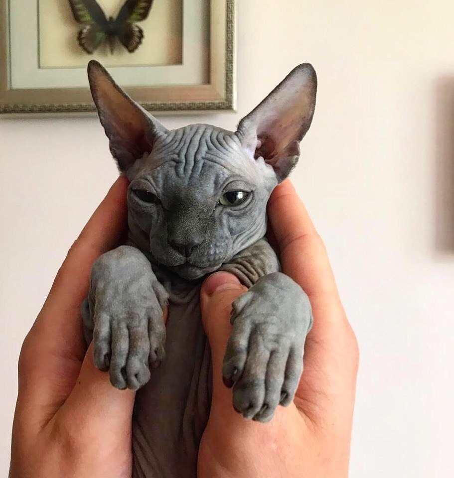 ��� �������� �������� - 16 ������ 2022 � 22:38