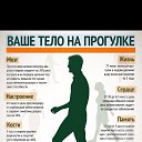 ���� �����, ������ ��������, 34 ���� - ��������� 25 ����� 2022 � ������ ���� ����������