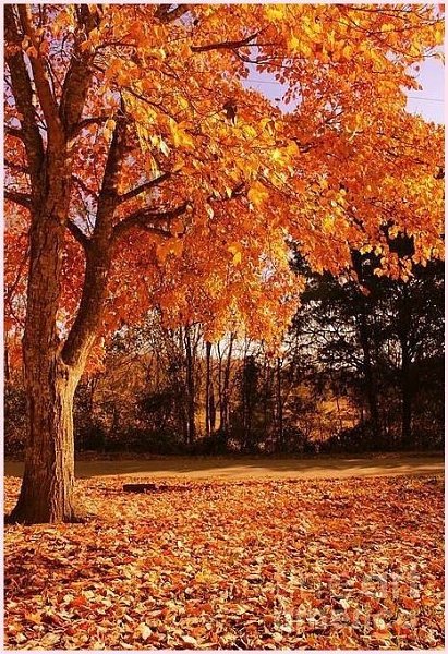 Handmade Club |  .y - 3