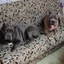 ���� ������, �����-���������, 52 ���� - ��������� 1 ������� 2022 � ������ ���� ����������