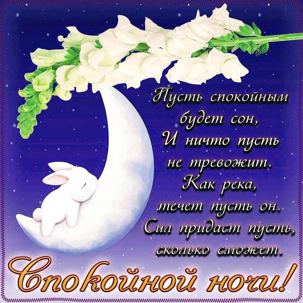   ,    . - 2  2022  21:08 - 2