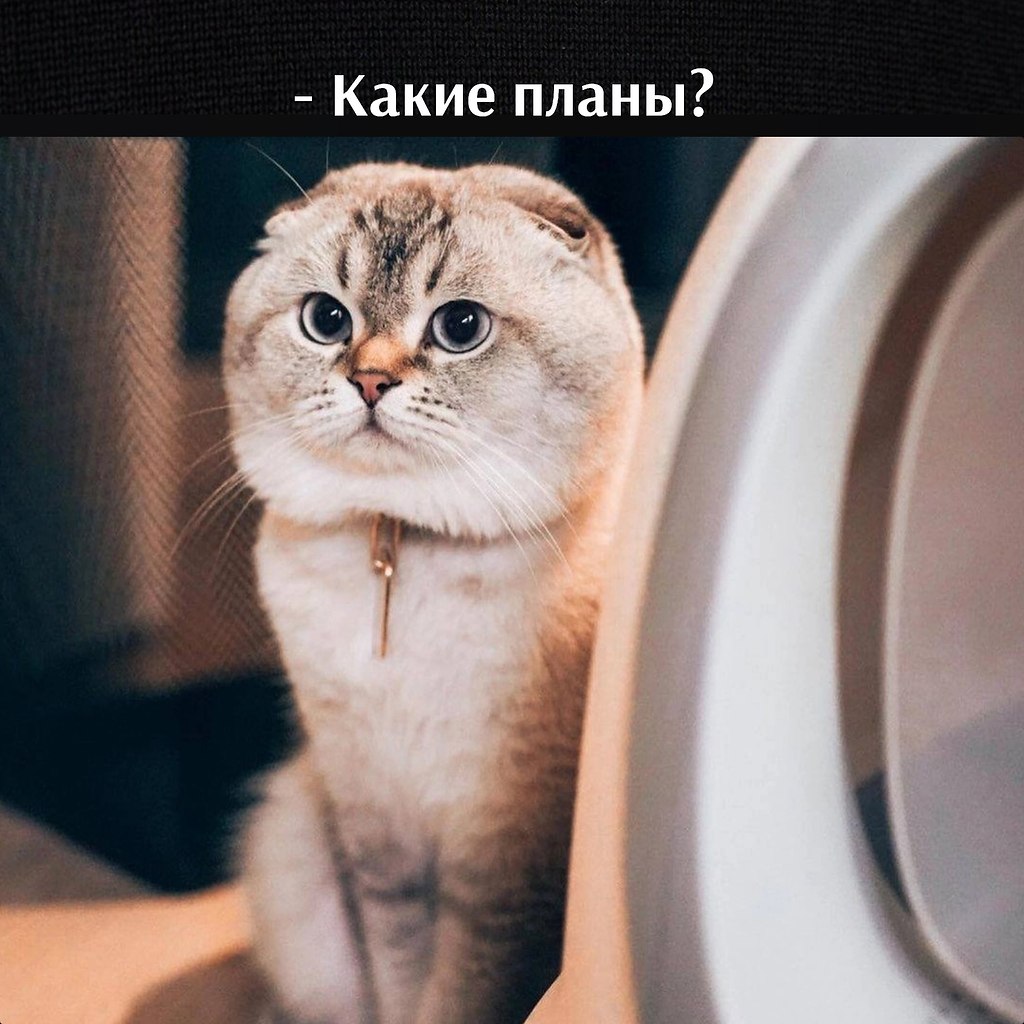       - 7  2023  11:30