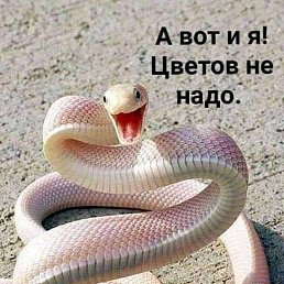 ���� ��������, ���������, 60 ��� - ��������� 7 ������� 2022